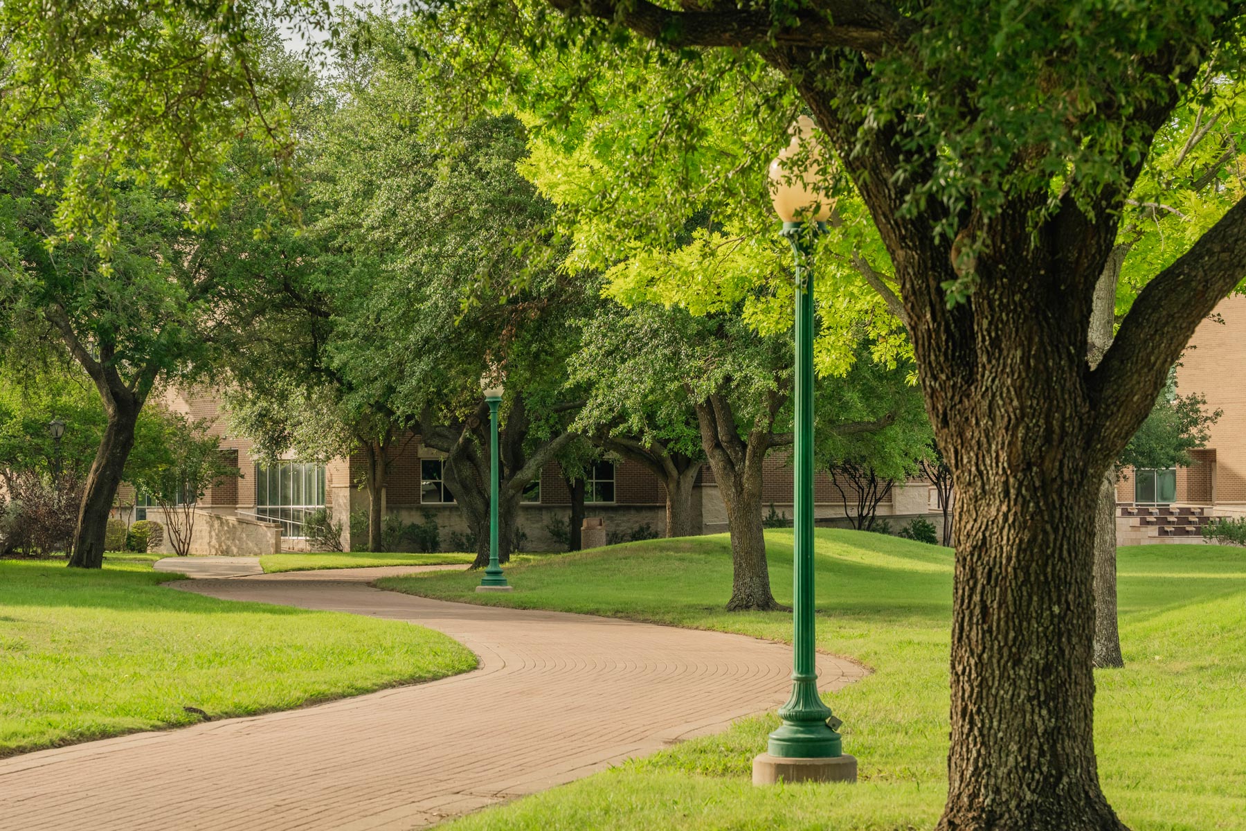 Curving oak path, current state, no banners